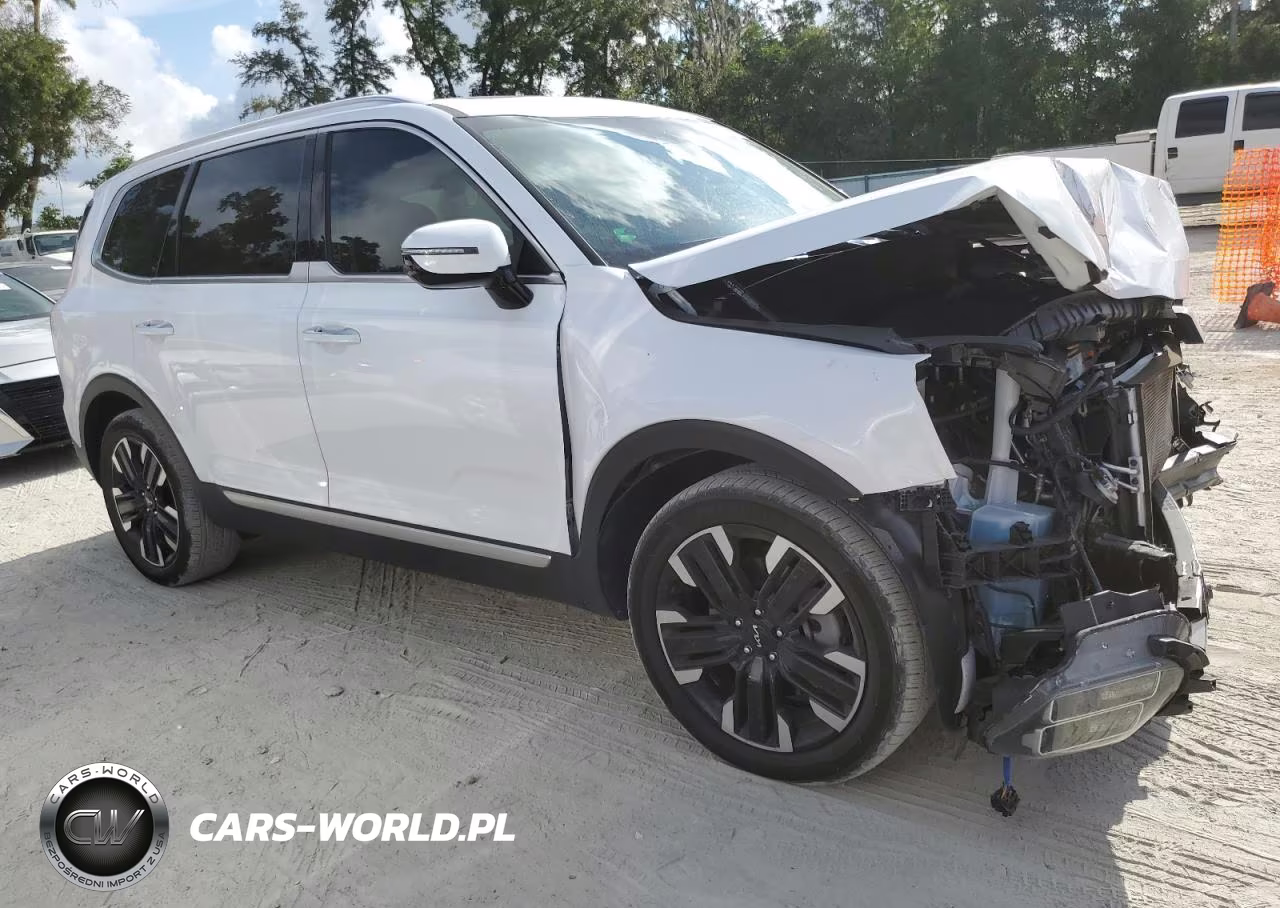 2023 Kia Telluride Sx VIN:5XYP5DGC0PG409952 - 4