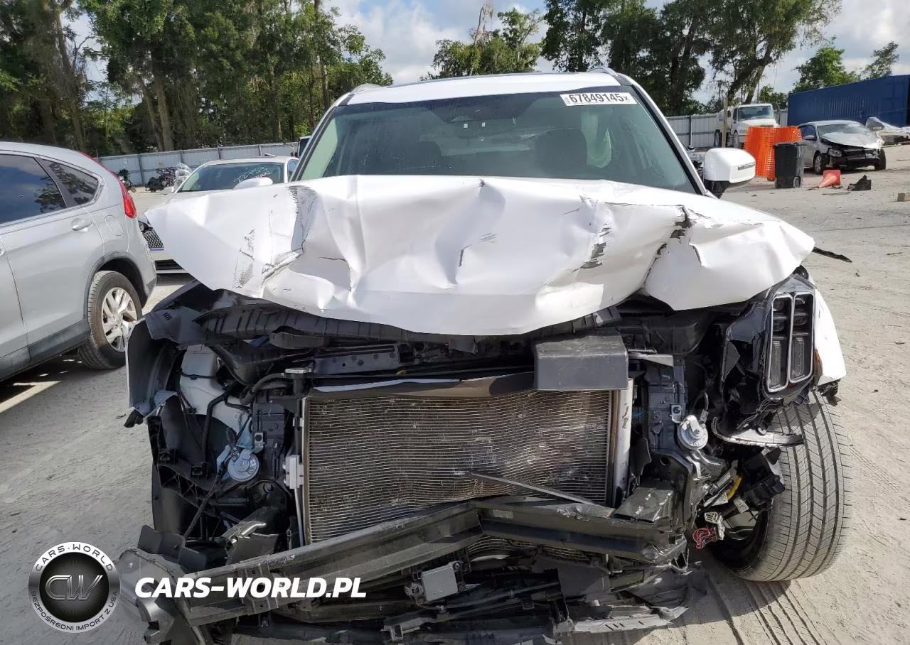 2023 Kia Telluride Sx VIN:5XYP5DGC0PG409952 - 5