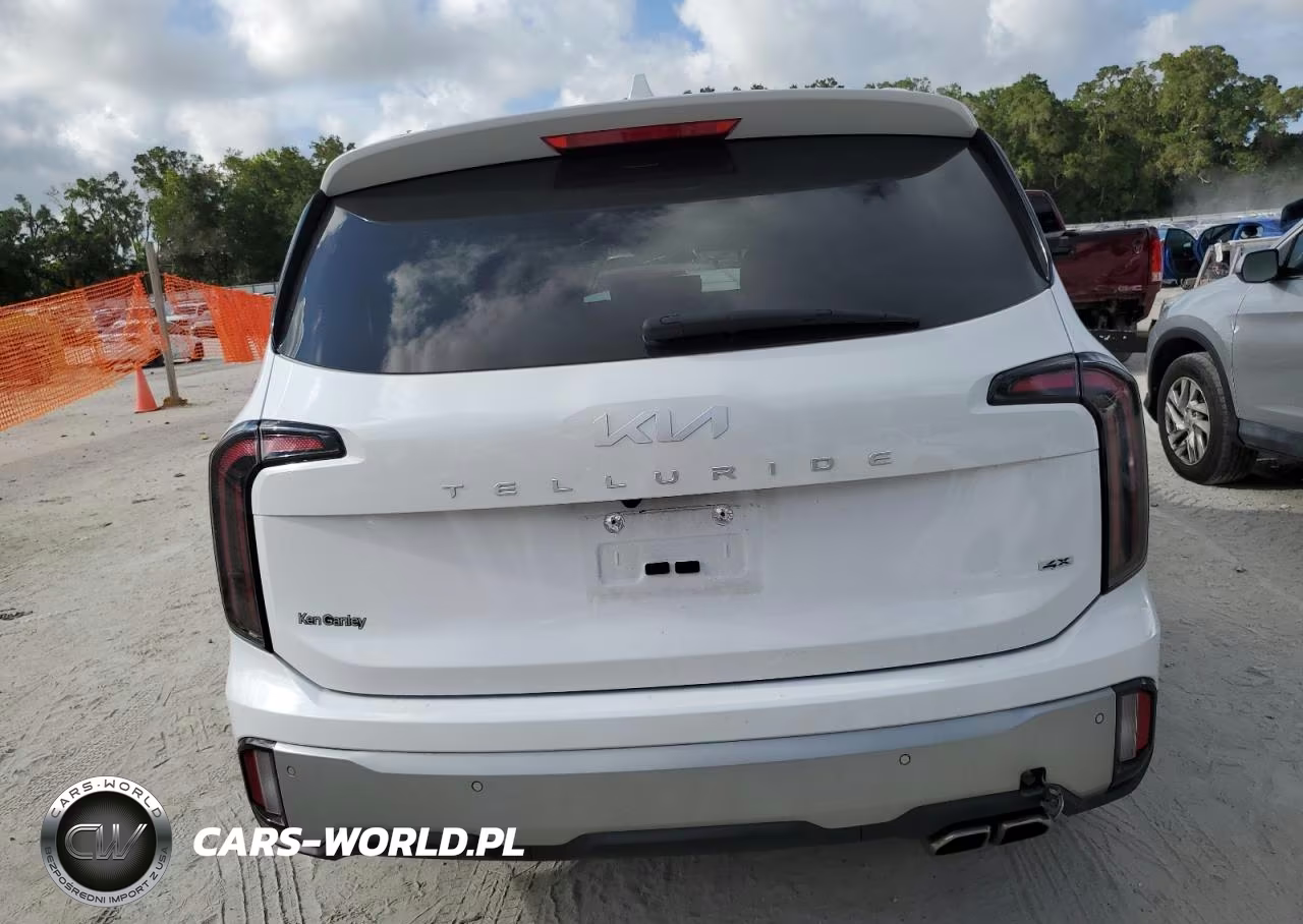 2023 Kia Telluride Sx VIN:5XYP5DGC0PG409952 - 6