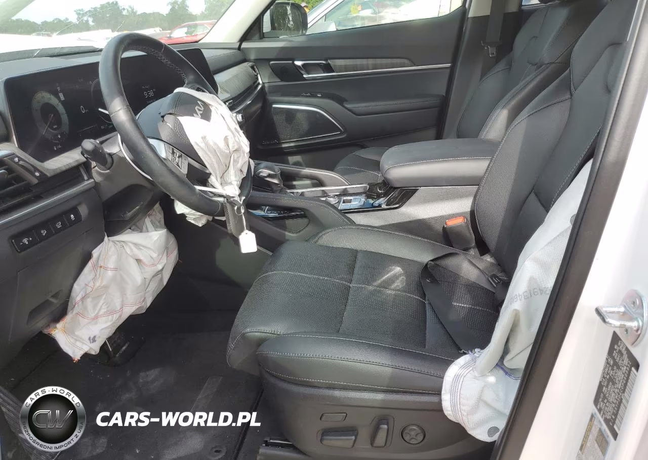 2023 Kia Telluride Sx VIN:5XYP5DGC0PG409952 - 7