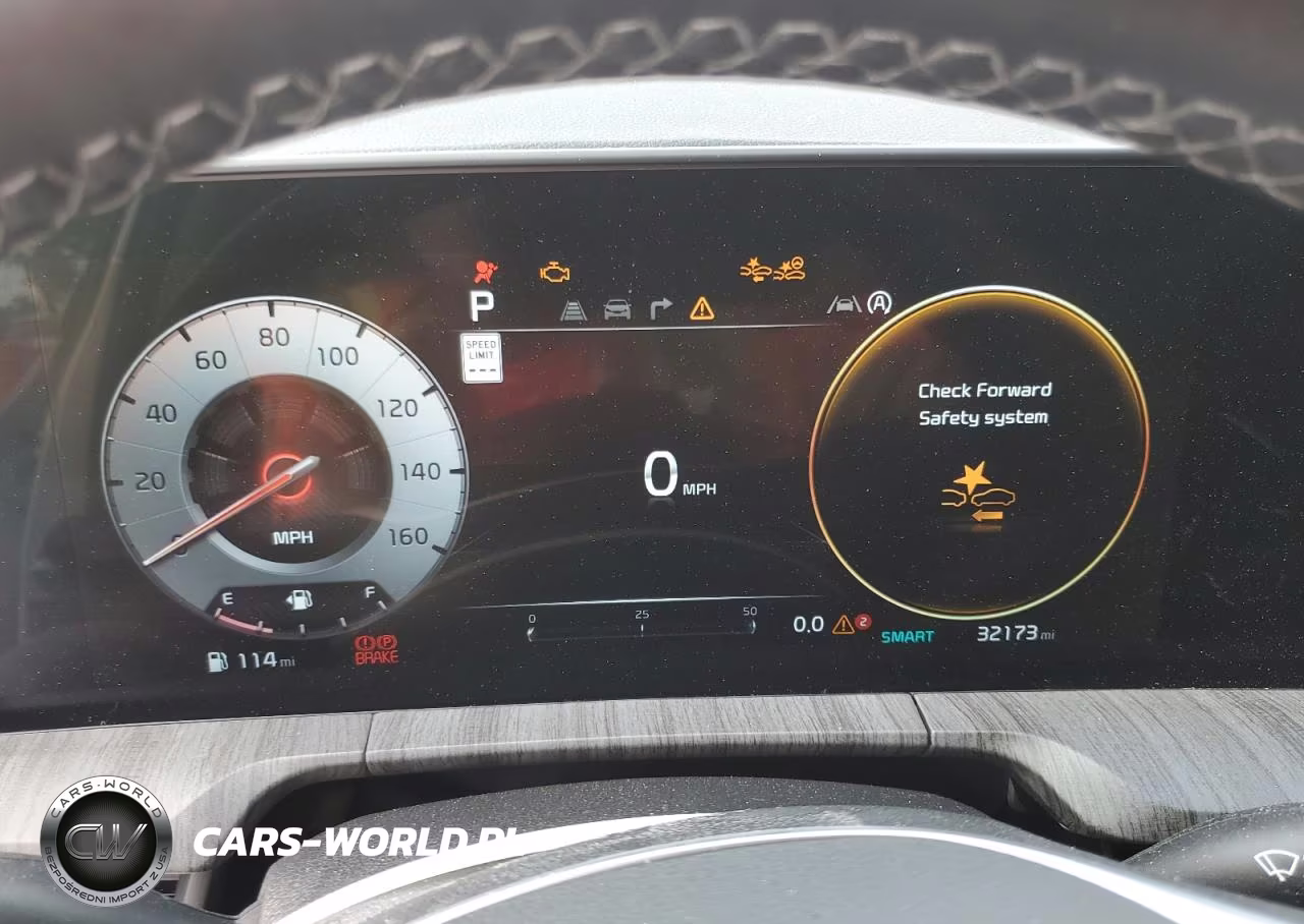 2023 Kia Telluride Sx VIN:5XYP5DGC0PG409952 - 9