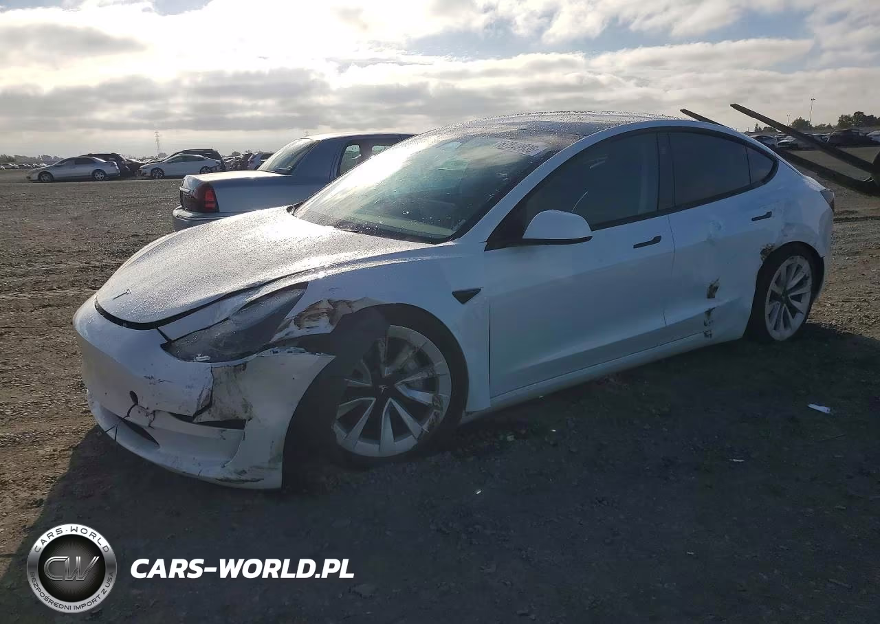 2023 Tesla Model 3 VIN:5YJ3E1EA4PF449263 - 1