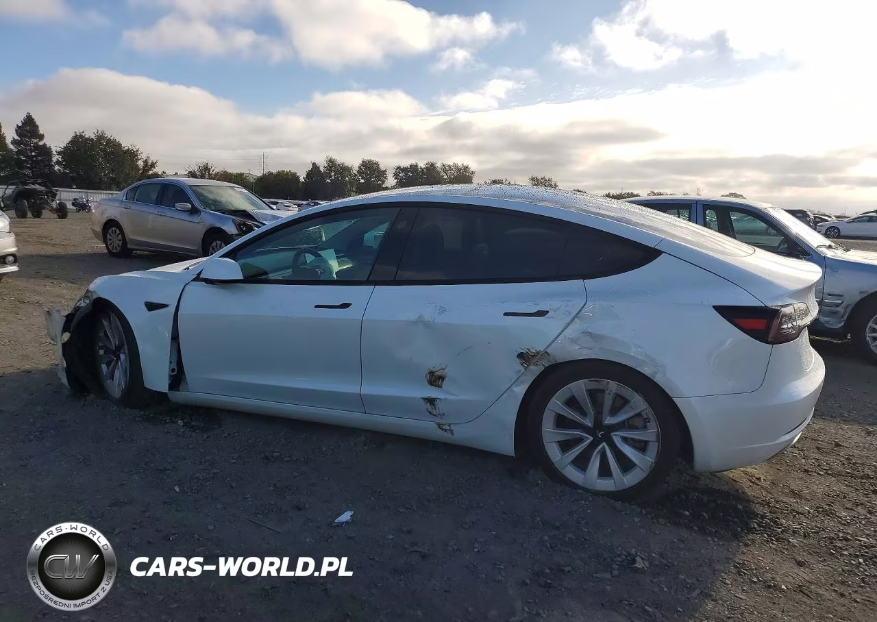 2023 Tesla Model 3 VIN:5YJ3E1EA4PF449263 - 2