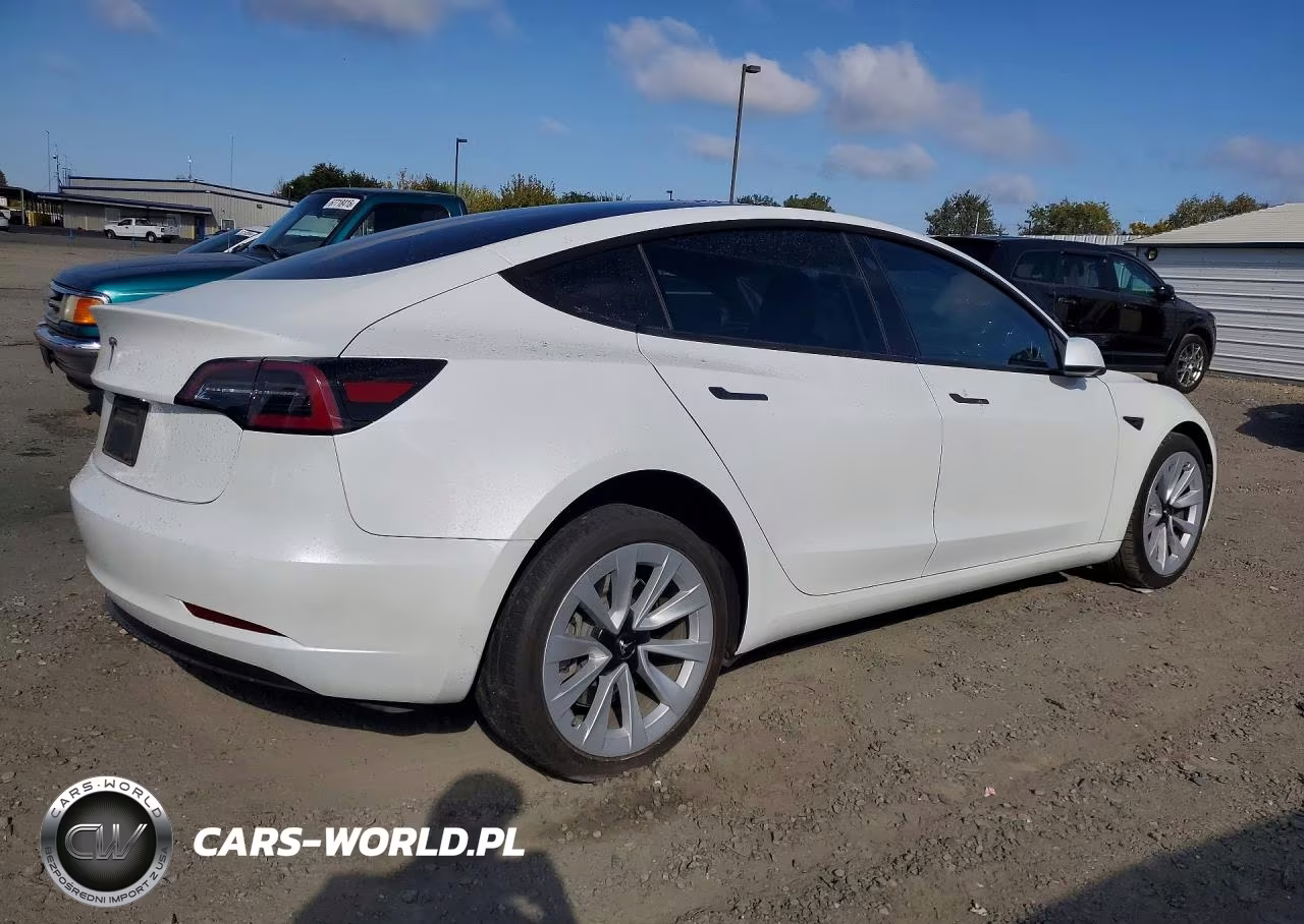 2023 Tesla Model 3 VIN:5YJ3E1EA4PF449263 - 3