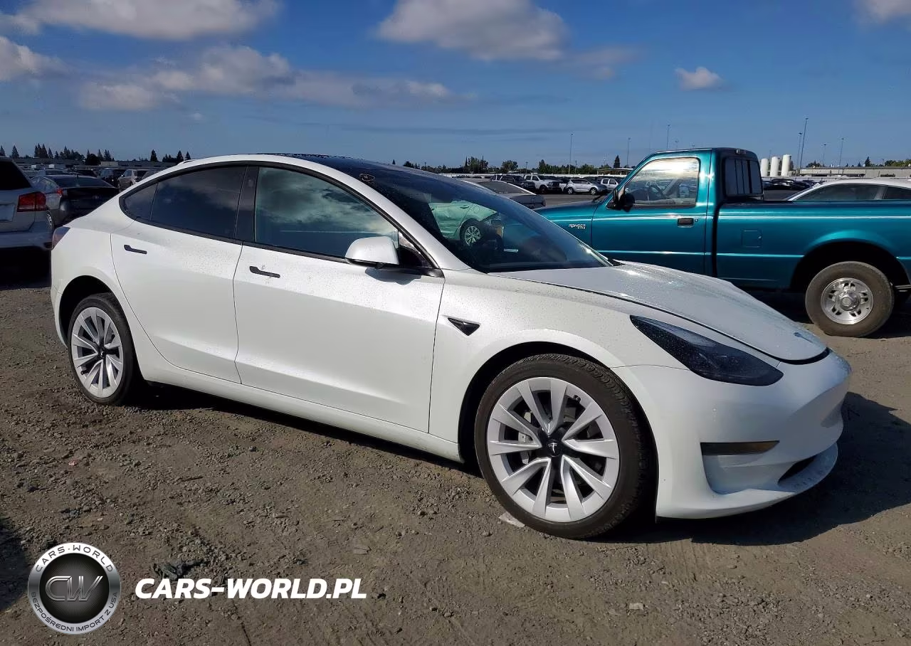 2023 Tesla Model 3 VIN:5YJ3E1EA4PF449263 - 4