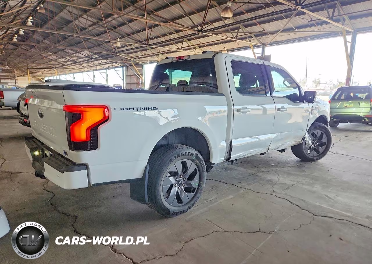 2023 Ford F150 Lightning Pro VIN:1FT6W1EV2PWG56663 - 3