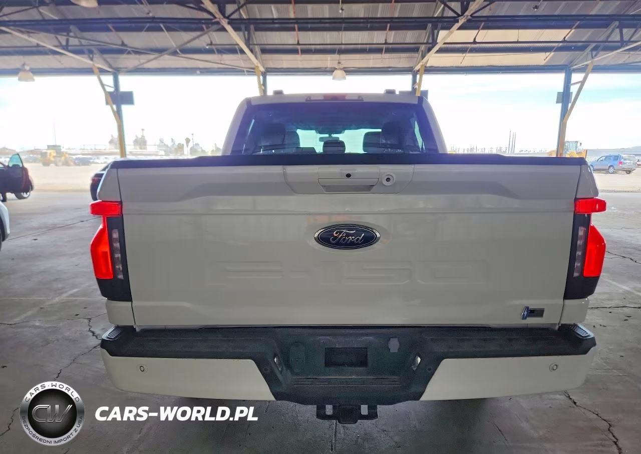 2023 Ford F150 Lightning Pro VIN:1FT6W1EV2PWG56663 - 6