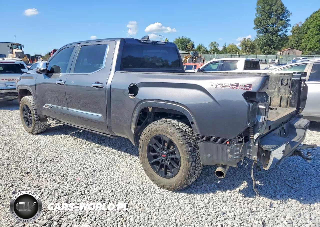 2024 Toyota Tundra 1794 Edition Hv VIN:5TFMC5EC7RX007119 - 2