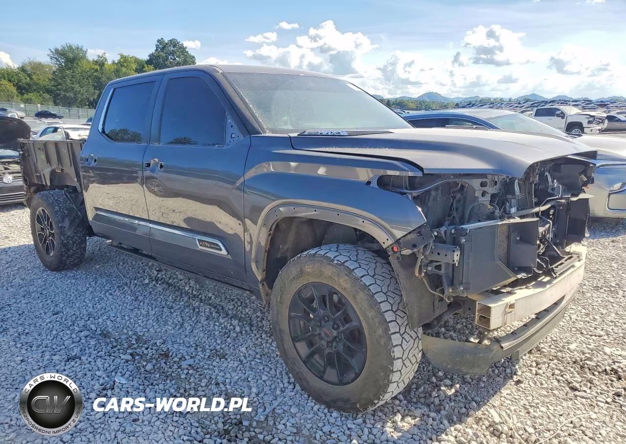 2024 Toyota Tundra 1794 Edition Hv VIN:5TFMC5EC7RX007119 - 4