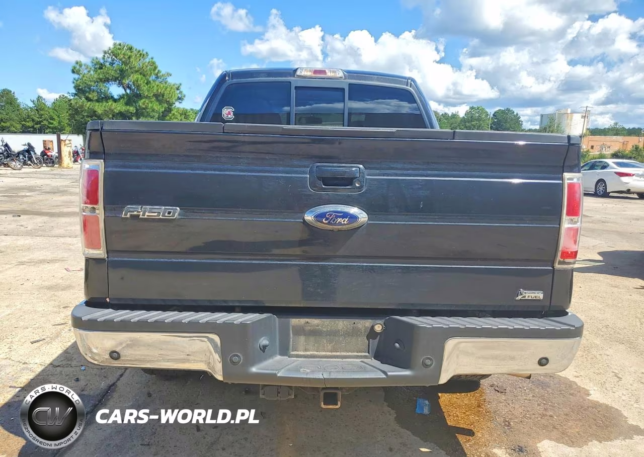 2010 Ford F150 Supercrew VIN:1FTFW1CV6AFC74968 - 6