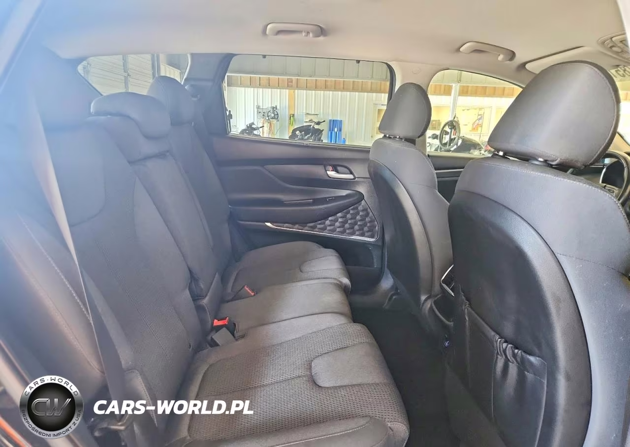 2019 Hyundai Santa Fe Sel Plus 2.4L VIN:5NMS3CAD7KH058368 - 10