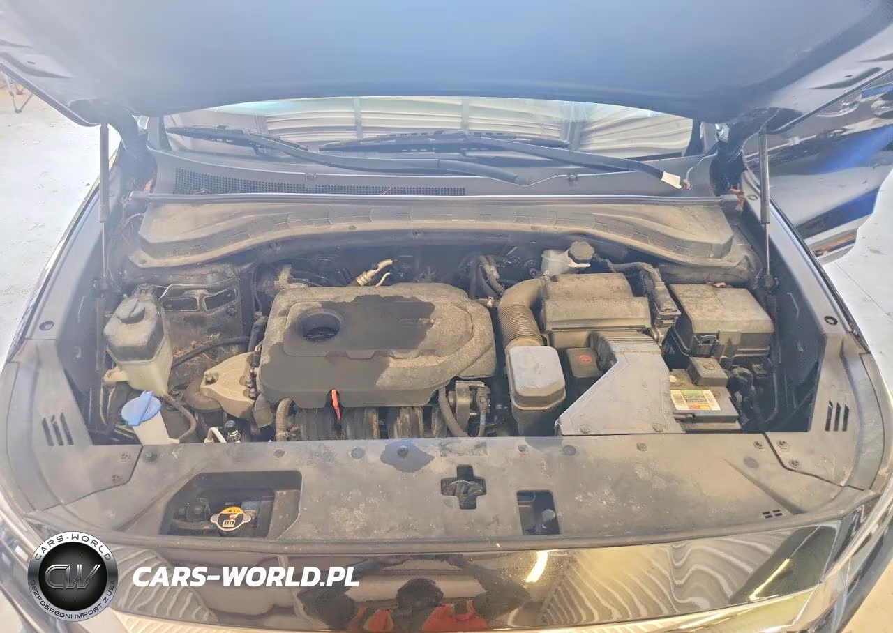 2019 Hyundai Santa Fe Sel Plus 2.4L VIN:5NMS3CAD7KH058368 - 11
