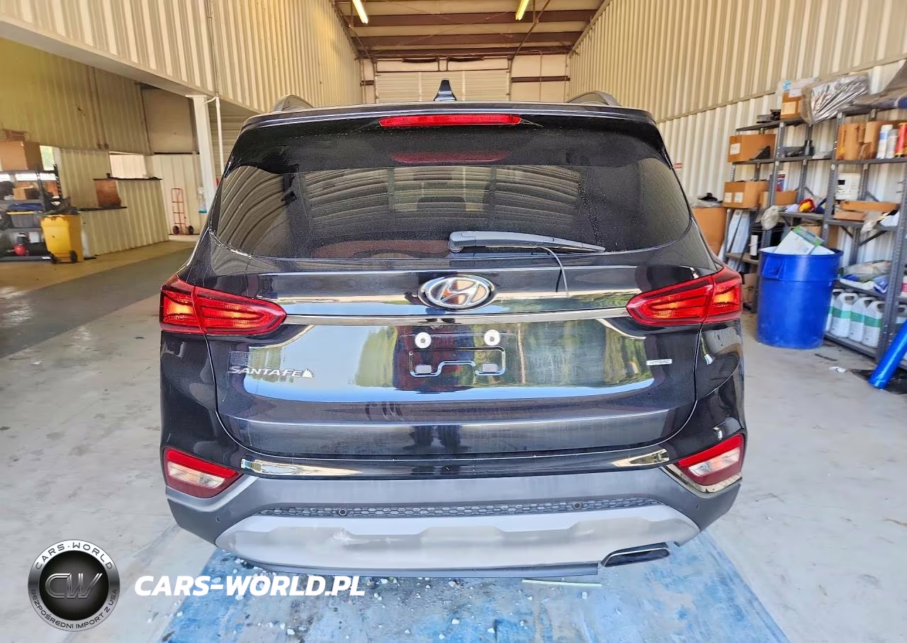 2019 Hyundai Santa Fe Sel Plus 2.4L VIN:5NMS3CAD7KH058368 - 6