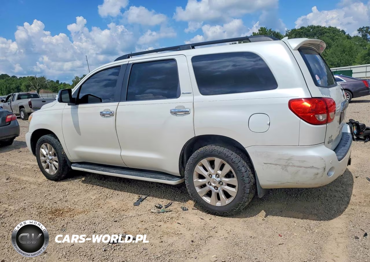 2010 Toyota Sequoia Platinum VIN:5TDYY5G13AS027358 - 2