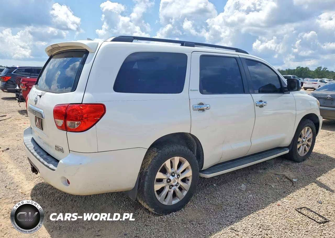 2010 Toyota Sequoia Platinum VIN:5TDYY5G13AS027358 - 3