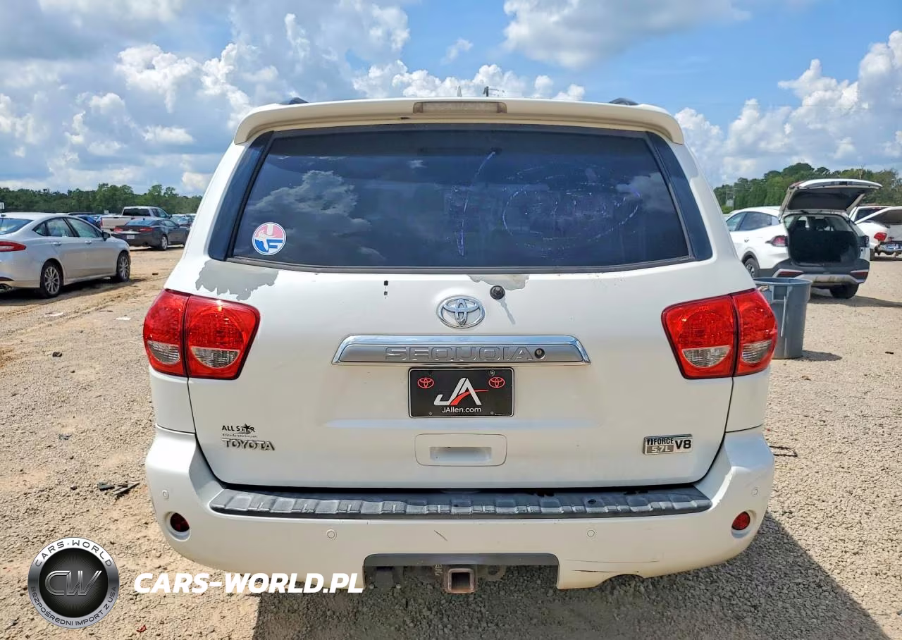 2010 Toyota Sequoia Platinum VIN:5TDYY5G13AS027358 - 6