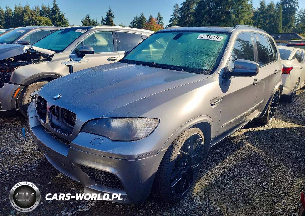 2010 BMW X5 M VIN:5YMGY0C50ALK25475 - 1