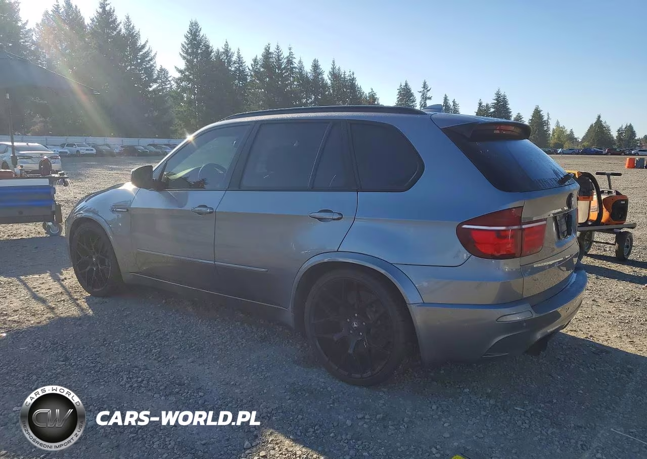 2010 BMW X5 M VIN:5YMGY0C50ALK25475 - 2
