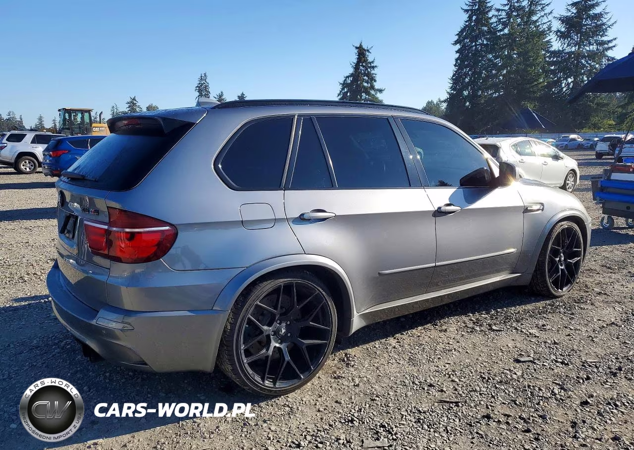 2010 BMW X5 M VIN:5YMGY0C50ALK25475 - 3