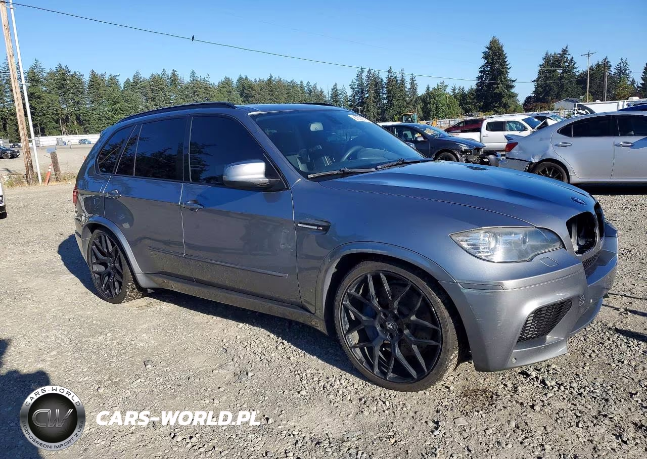 2010 BMW X5 M VIN:5YMGY0C50ALK25475 - 4