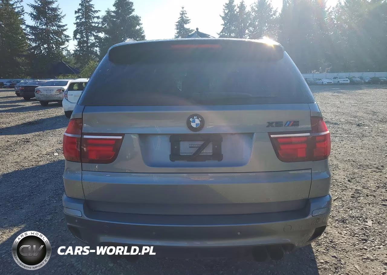2010 BMW X5 M VIN:5YMGY0C50ALK25475 - 6