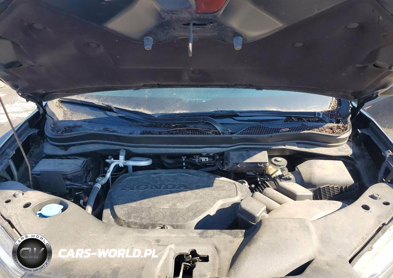 2023 Honda Passport Trail Sport VIN:5FNYF8H62PB024367 - 12