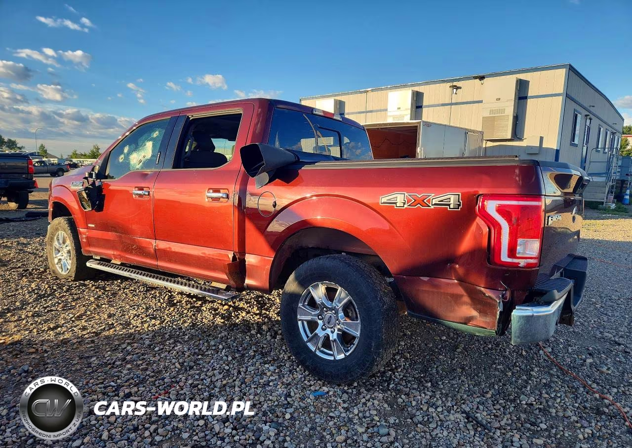 2017 Ford F150 Supercrew VIN:1FTEW1EP0HFB10555 - 2