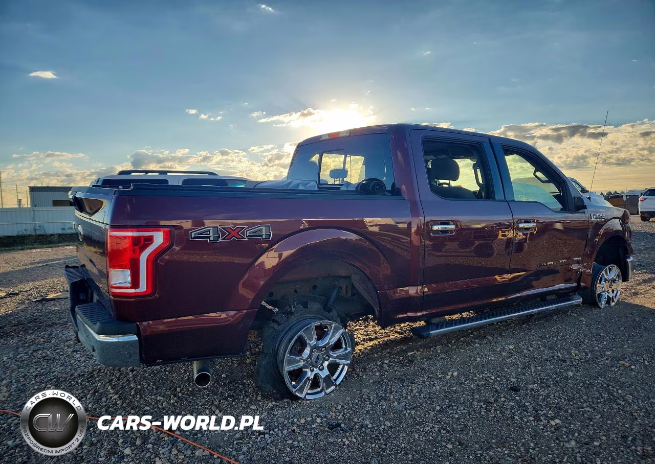 2017 Ford F150 Supercrew VIN:1FTEW1EP0HFB10555 - 3