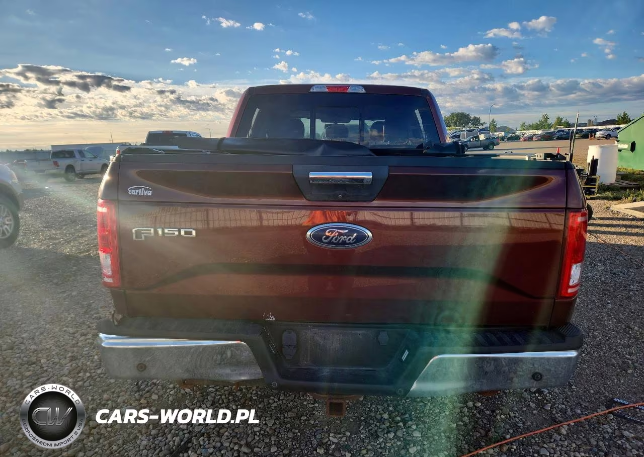 2017 Ford F150 Supercrew VIN:1FTEW1EP0HFB10555 - 6