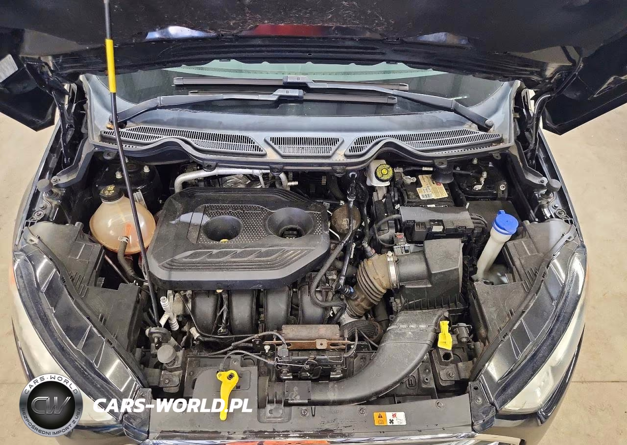 2019 Ford Ecosport Titanium VIN:MAJ6S3KL8KC294008 - 12