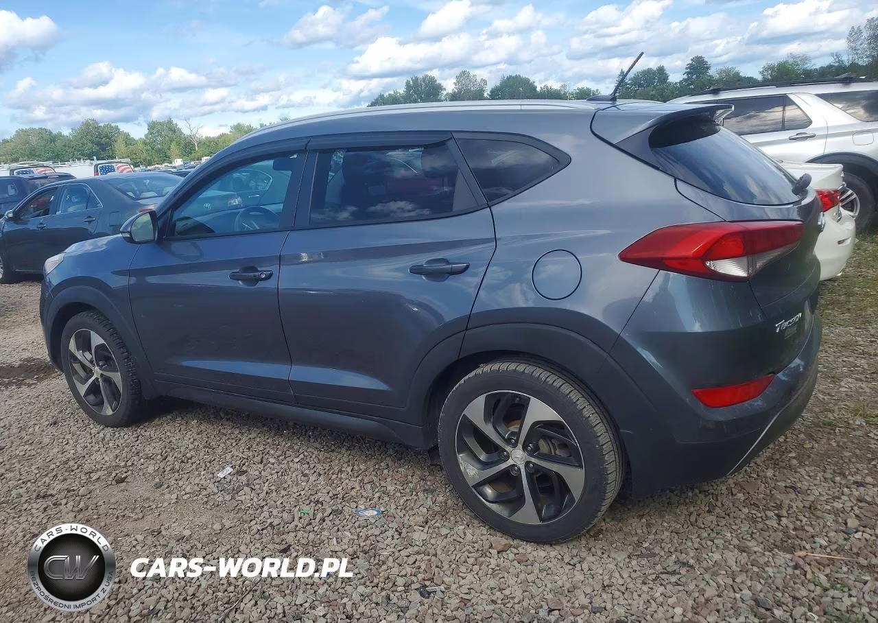 2016 Hyundai Tucson Sport VIN:KM8J3CA25GU049142 - 2