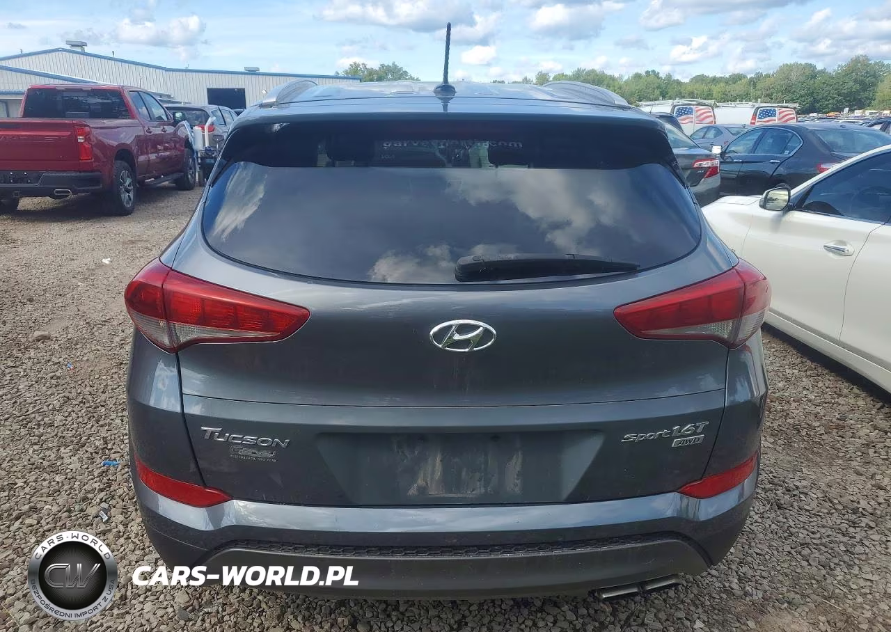 2016 Hyundai Tucson Sport VIN:KM8J3CA25GU049142 - 6