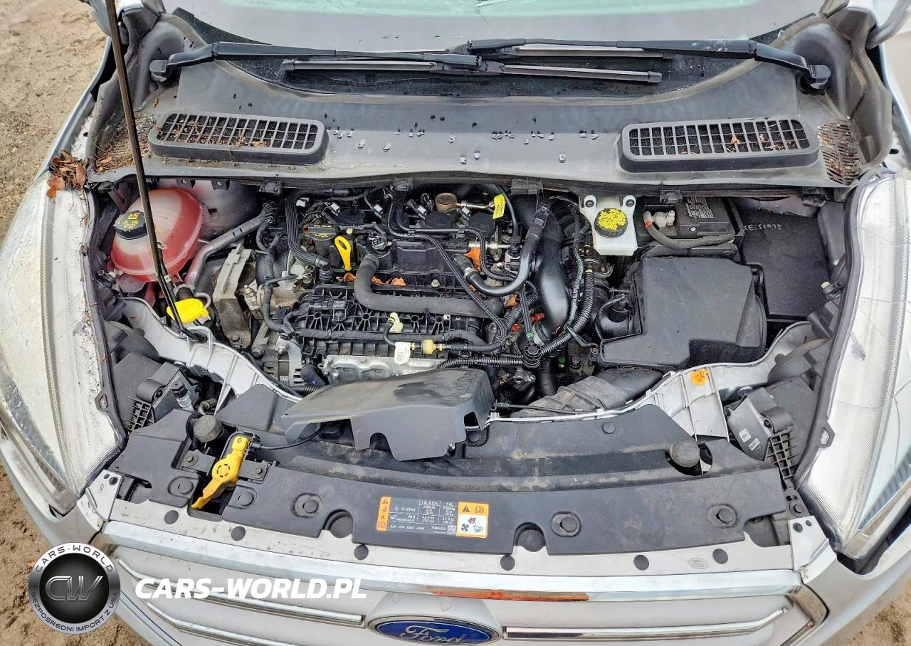 2019 Ford Escape Sel VIN:1FMCU9HD0KUA57254 - 12