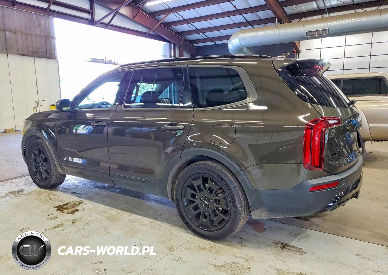 2022 Kia Telluride Ex VIN:5XYP3DHC9NG237406 - 2