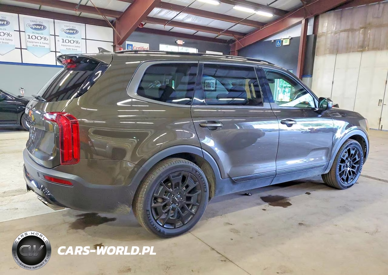 2022 Kia Telluride Ex VIN:5XYP3DHC9NG237406 - 3