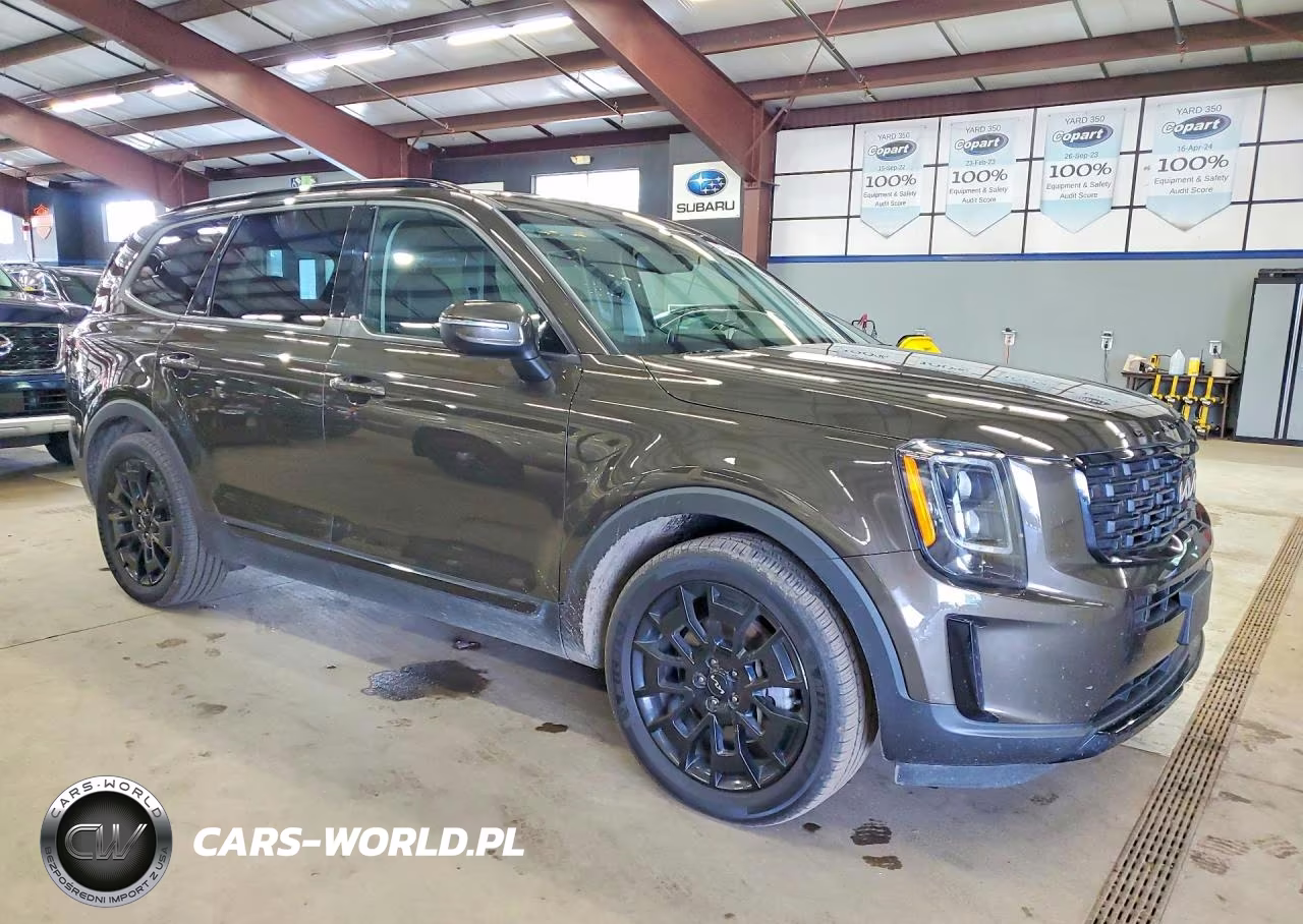 2022 Kia Telluride Ex VIN:5XYP3DHC9NG237406 - 4