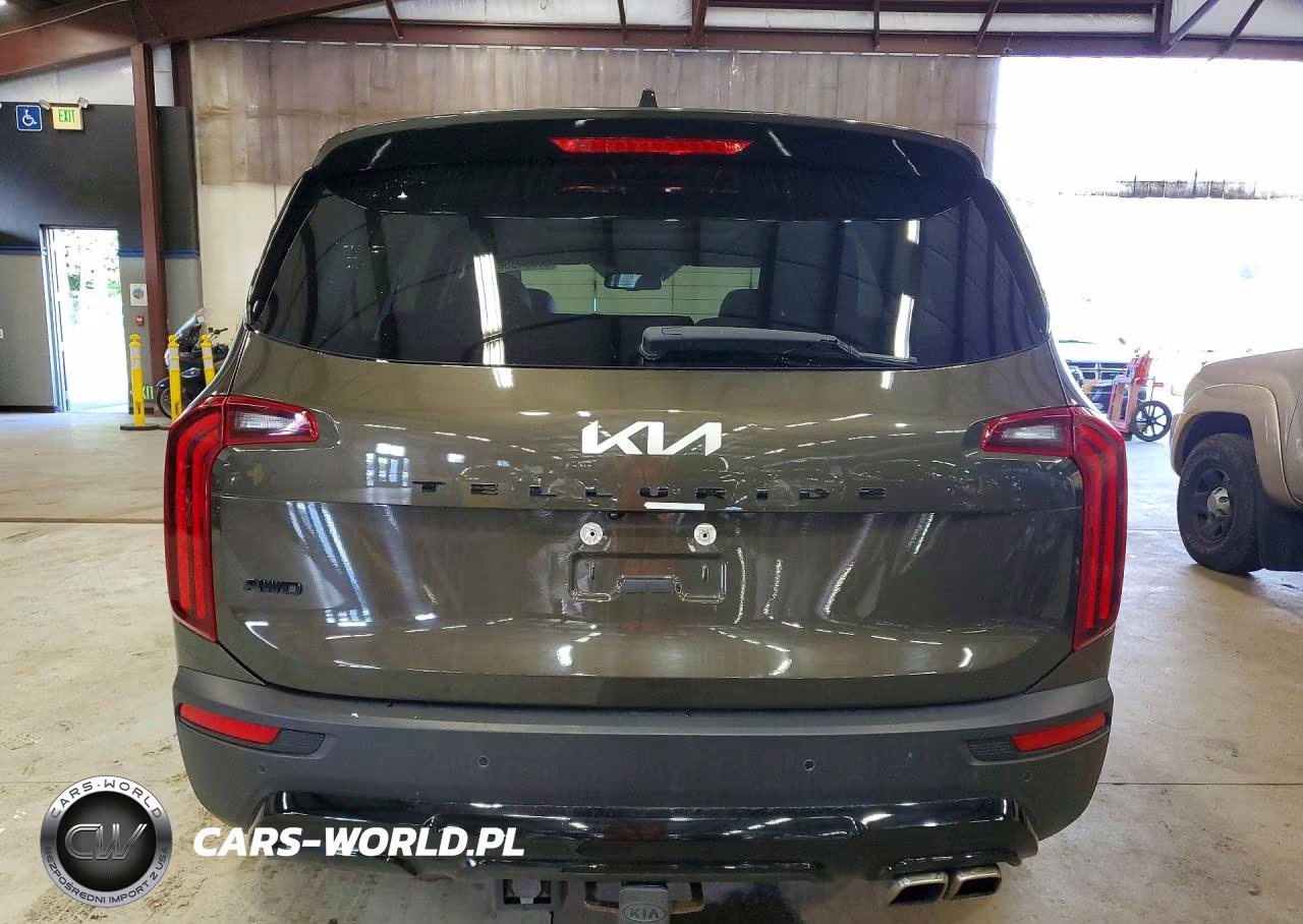 2022 Kia Telluride Ex VIN:5XYP3DHC9NG237406 - 6