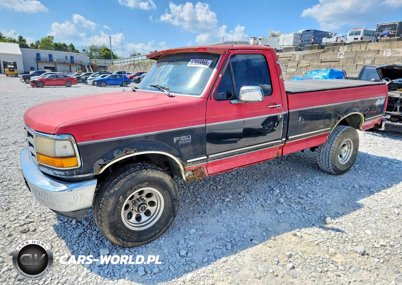 1993 Ford F150 VIN:1FTEF14N9PNA95087 - 1