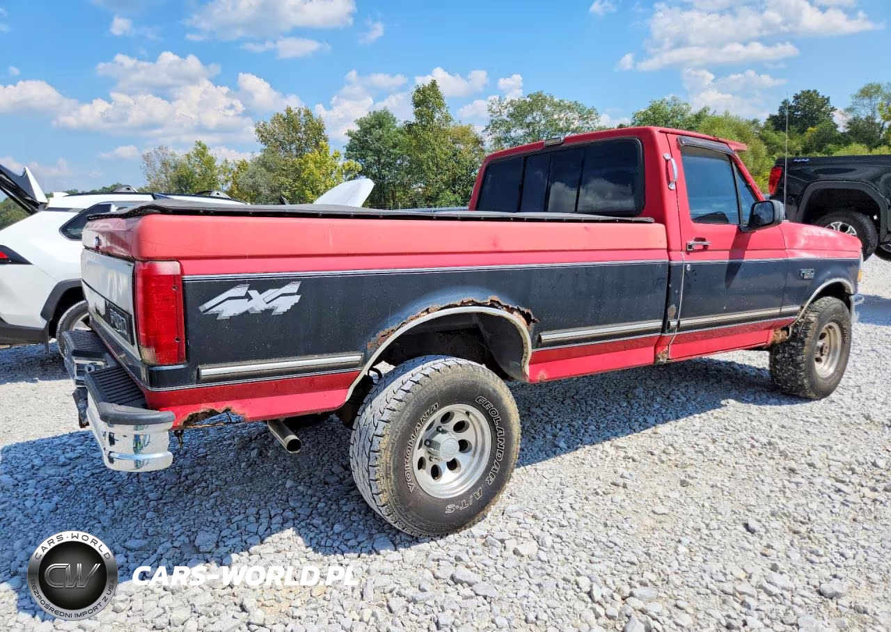 1993 Ford F150 VIN:1FTEF14N9PNA95087 - 3
