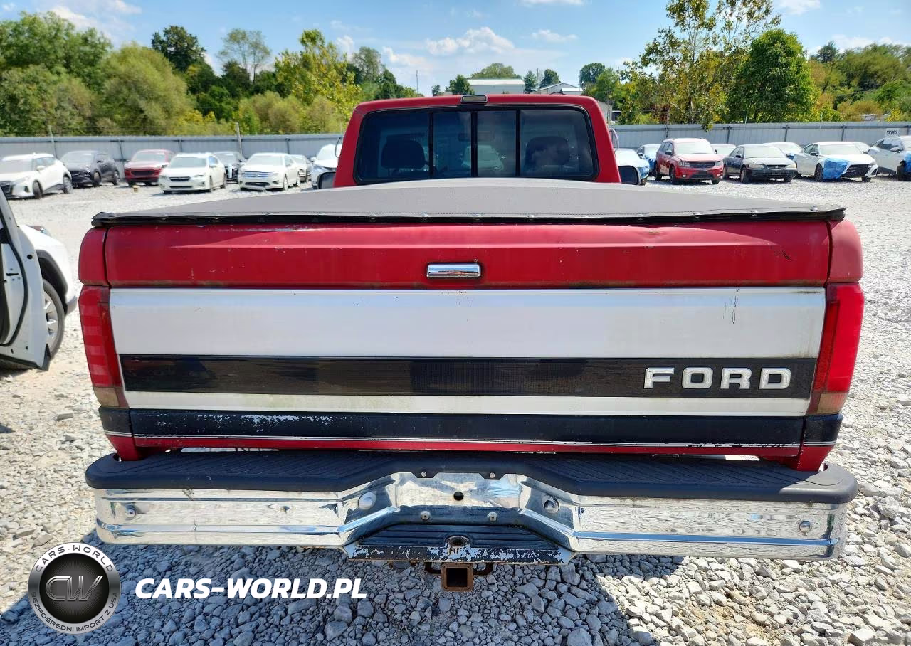 1993 Ford F150 VIN:1FTEF14N9PNA95087 - 6