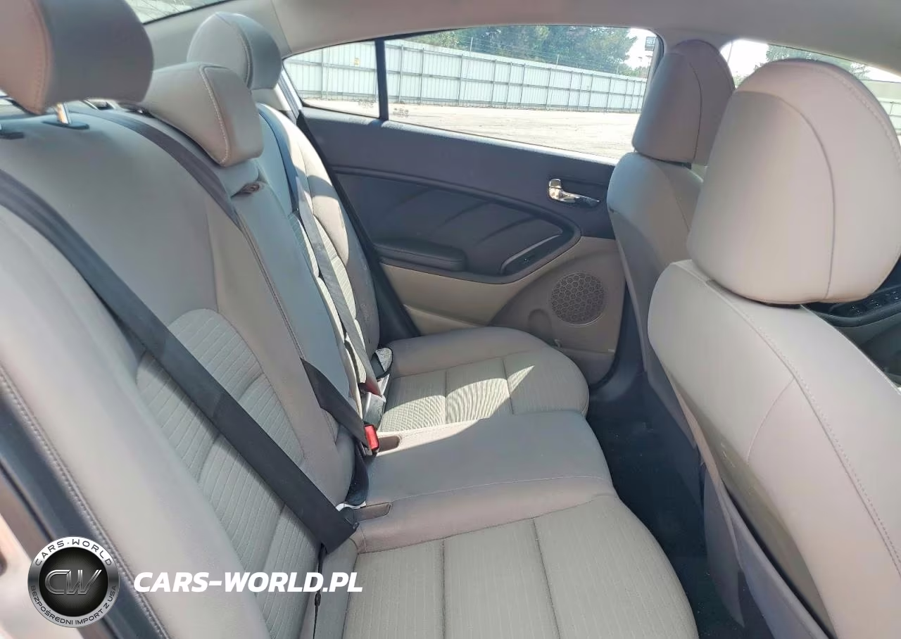 2014 Kia Forte Lx VIN:KNAFX4A63E5079137 - 10