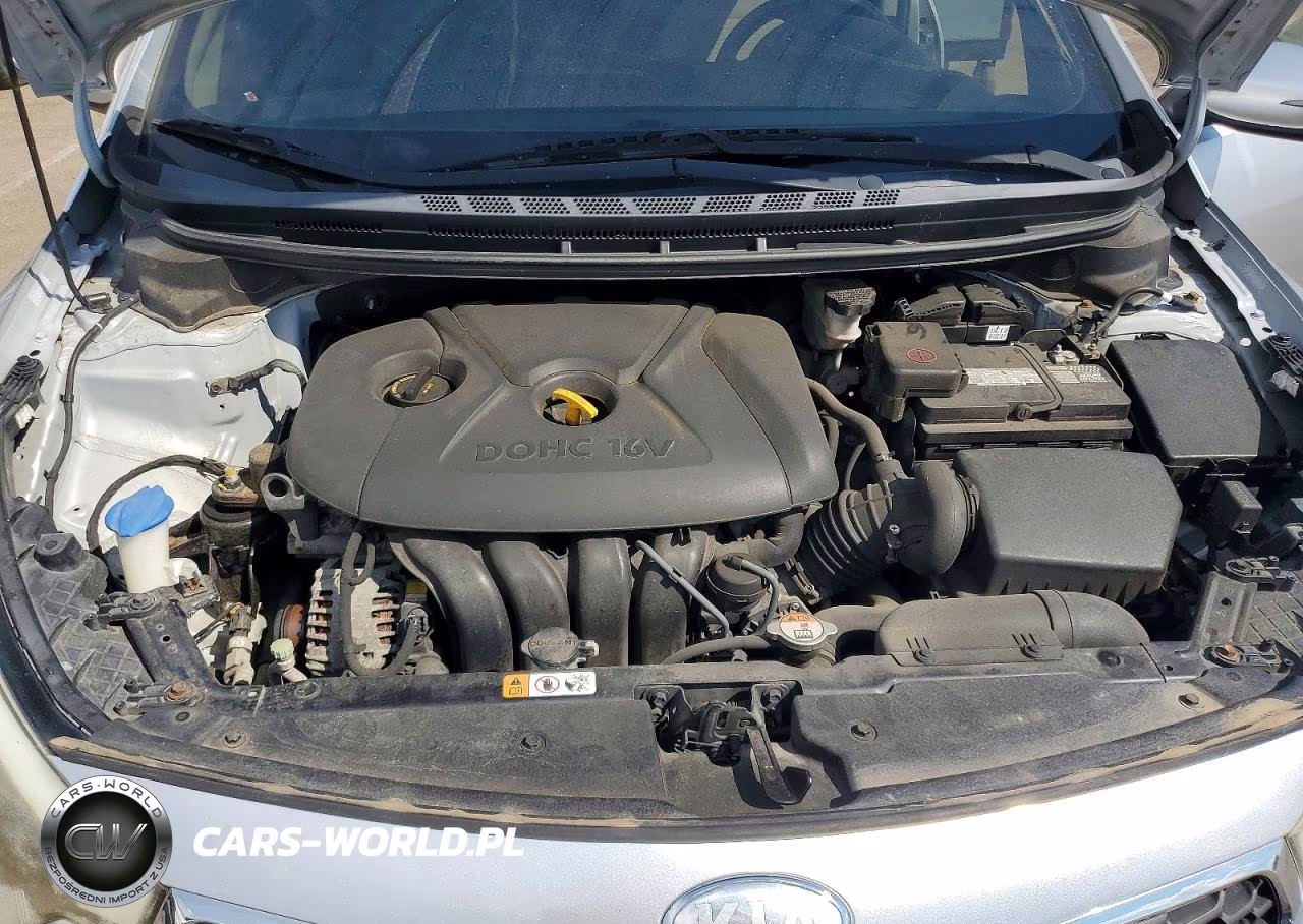 2014 Kia Forte Lx VIN:KNAFX4A63E5079137 - 11