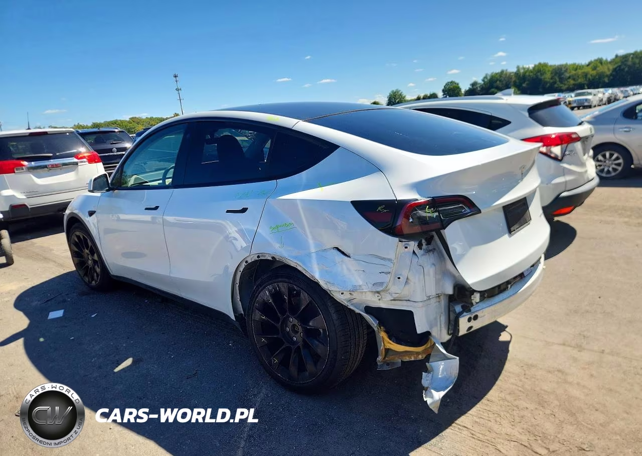 2023 Tesla Model Y VIN:7SAYGDEE5PA055145 - 2