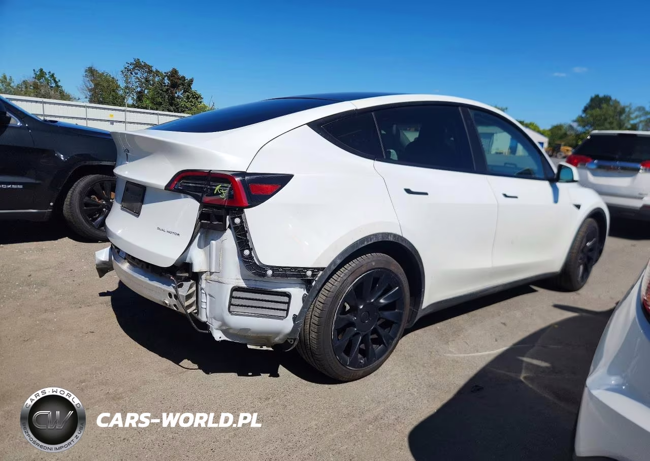 2023 Tesla Model Y VIN:7SAYGDEE5PA055145 - 3
