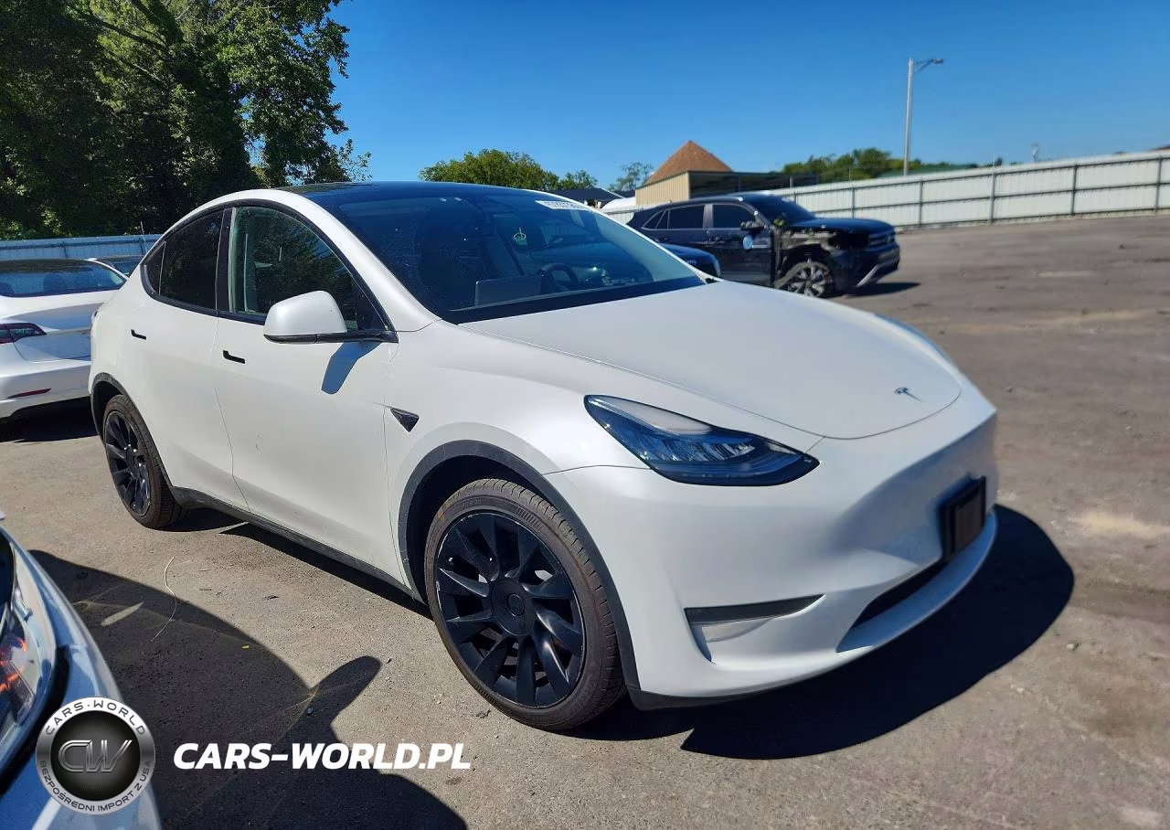 2023 Tesla Model Y VIN:7SAYGDEE5PA055145 - 4