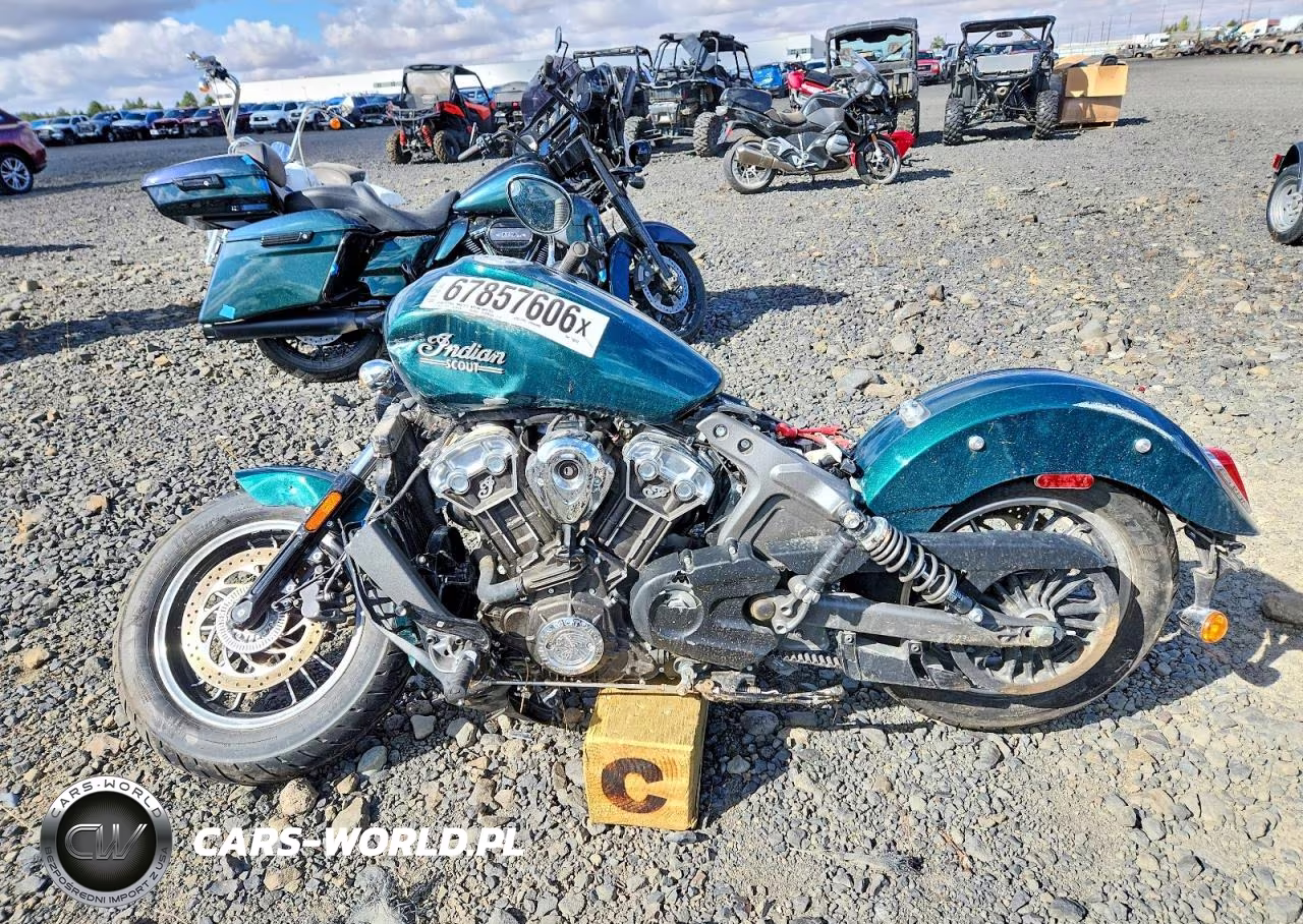 2019 Indian Motorcycle Co. Scout Abs VIN:56KMSA004K3150819 - 3