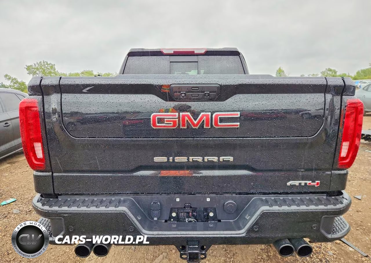 2020 GMC Sierra K1500 At4 VIN:3GTP9EEL4LG319485 - 6
