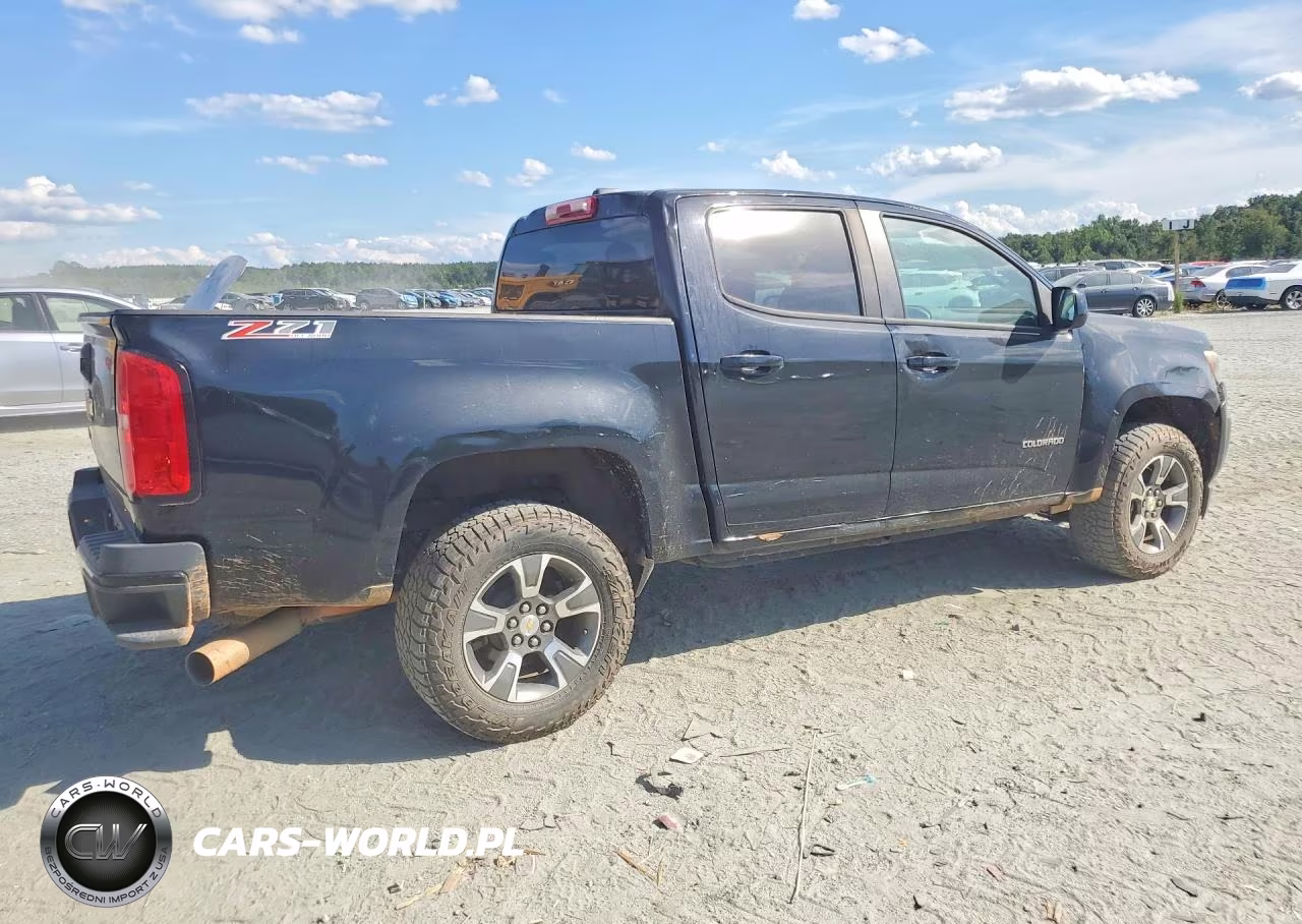 2016 Chevrolet Colorado Z71 VIN:1GCPTDE14G1350654 - 3