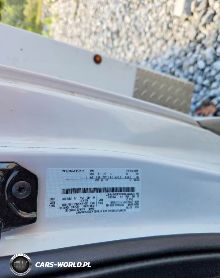 2020 Ford F350 Super Duty VIN:1FDRF3G60LED67887 - 13