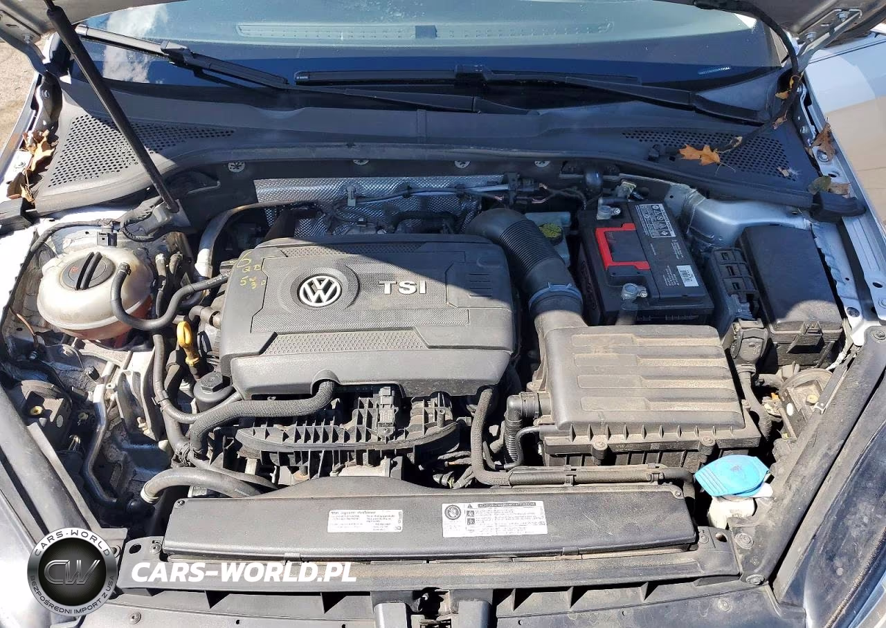 2016 Volkswagen Golf Sportwagen S VIN:3VWC17AU4GM522137 - 11